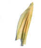Yellow / Lime